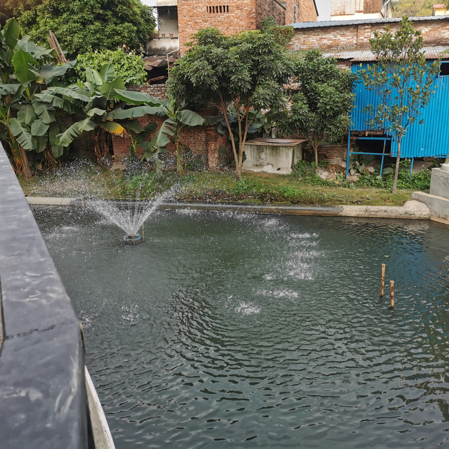 太阳成集团tyc助力顺德打赢黑臭水体攻坚战