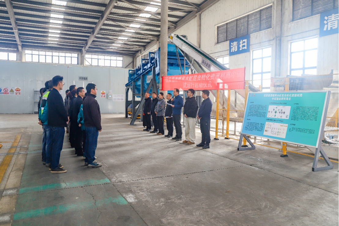 太阳成集团tyc酱酒糟黑水虻转化中试项目启动试运行