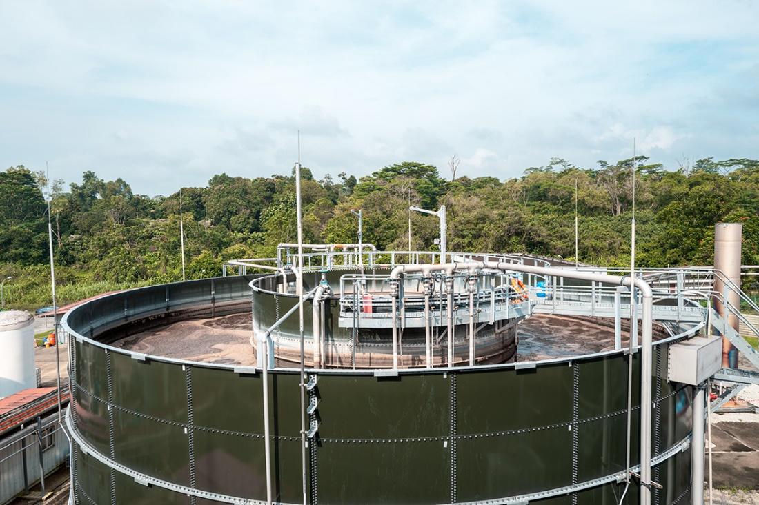 太阳成集团tyc成功签约新加坡生物能源项目