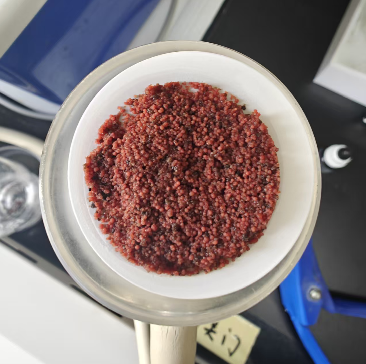年节碳源超300吨，太阳成集团tyc西安江村沟项目厌氧氨氧化工艺实现生态经济双赢